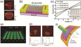 二維材料在鹵化物鈣鈦礦基光電器件中的應(yīng)用 現(xiàn)狀、機(jī)遇與挑戰(zhàn)